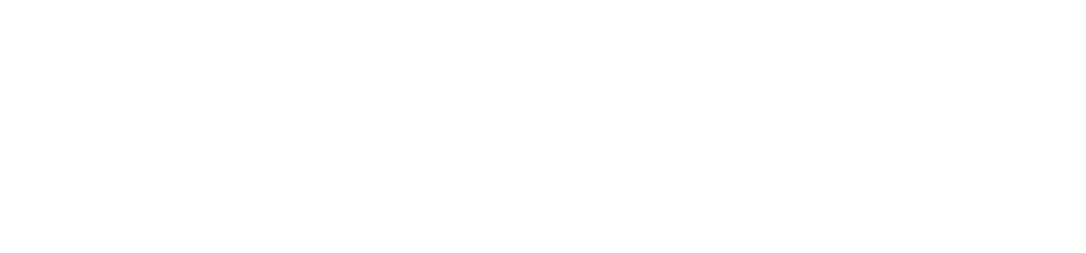 Automotive Partner