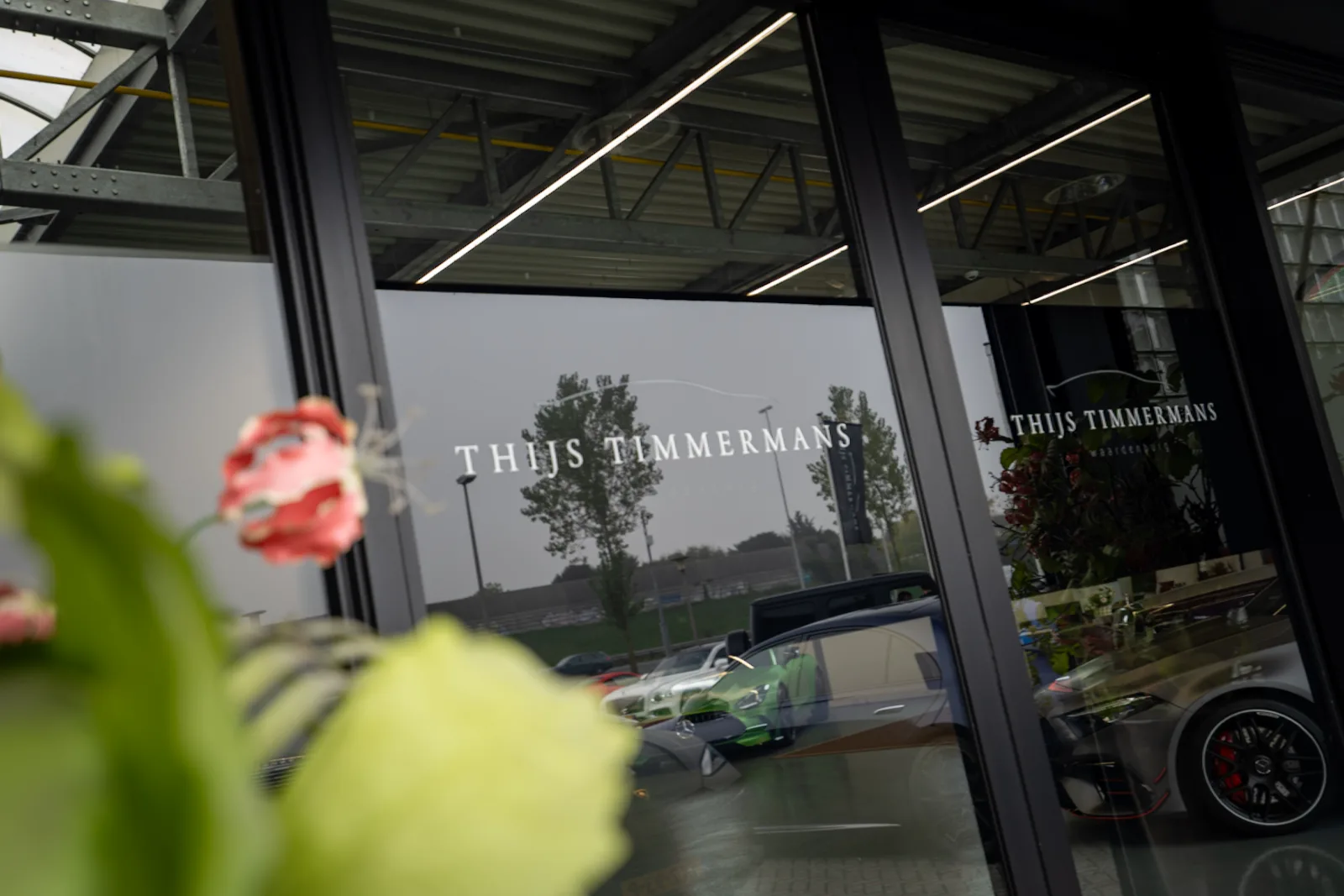 De entree van Thijs Timmermans